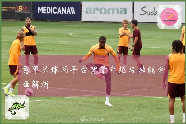 意甲买球网平台背景介绍与功能全面解析